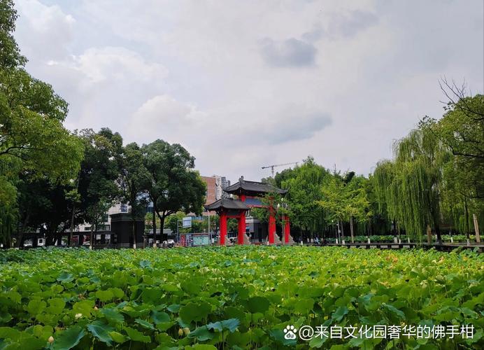 朋友的儿子高考没考好,差点就没能去南京信息工程大学